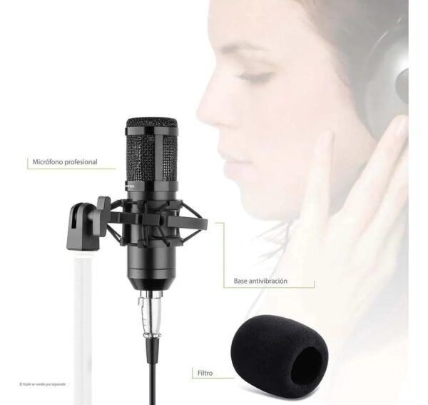 Micrófono Profesional De Condensador Steren Mic-650 Negro - Image 3